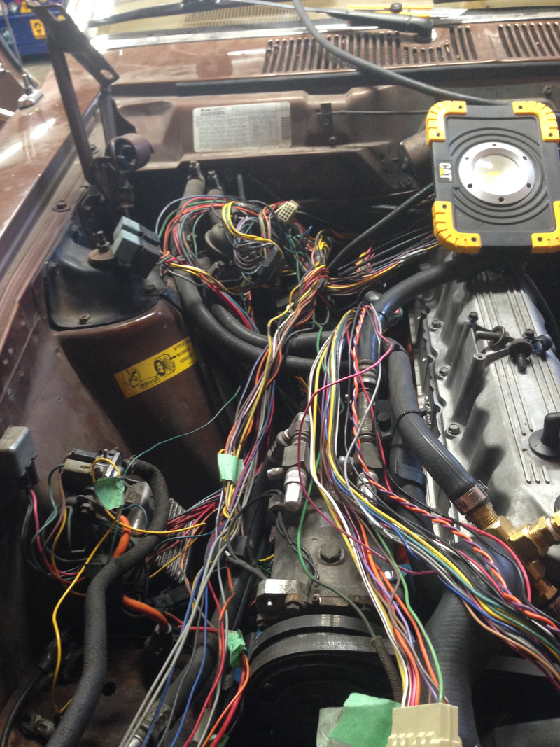 Welcome to my wiring nightmare